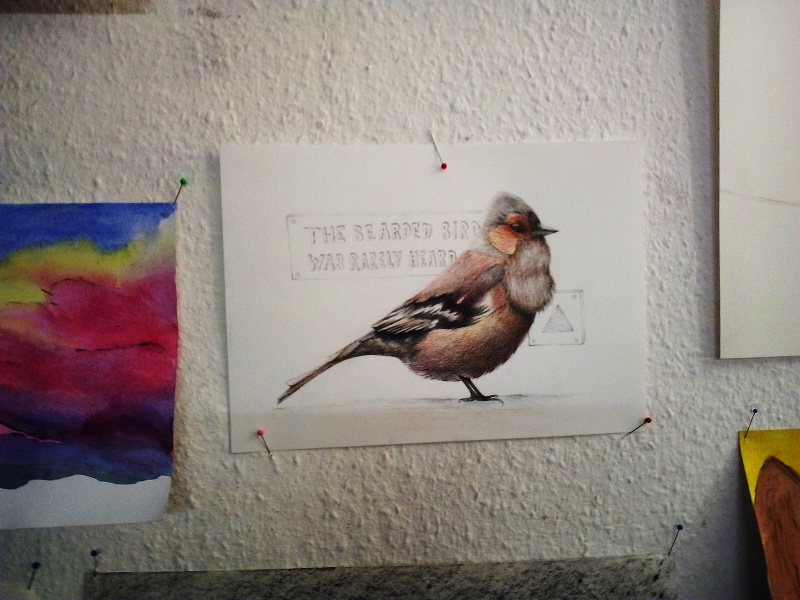 Vogel Malen Kunstschule